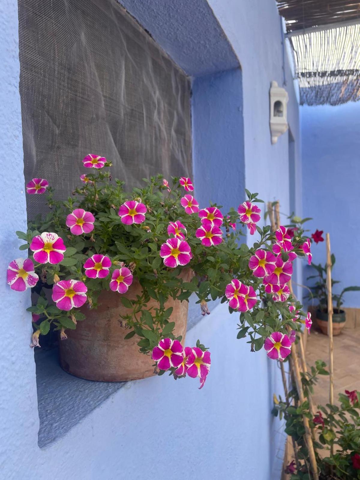 Cortijo Las Gallardas En Almeria Los Gallardos Exterior photo